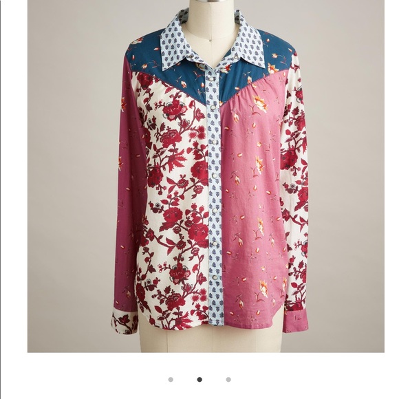 Cotton button down shirt - Picture 3 of 14